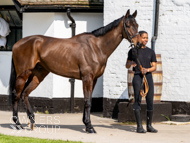 NH220326-11 - Thewoodcorner